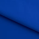 Double Sided Brushed Recycled Polyester Spandex | Blue Moon Fabrics