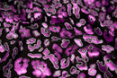 Leo Party Foil Printed Spandex Fabric | Blue Moon Fabrics