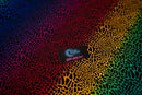Multicolor Safari Spots Printed Spandex Fabric | Blue Moon Fabrics