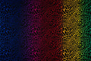 Multicolor Safari Spots Printed Spandex Fabric | Blue Moon Fabrics