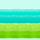 Ombre Wash Fabric