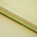 Pastel Iridescent Organza Fabric | Blue Moon Fabrics