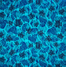 Aqua/Navy Sea Turtle print fabric